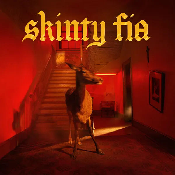 FontainesDC_SkintyFia_DSP_3000x3000